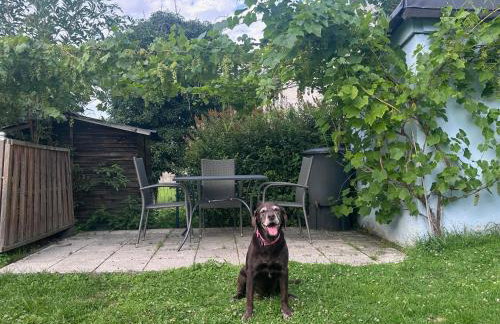 Fewo Himmelblau - Foto 27