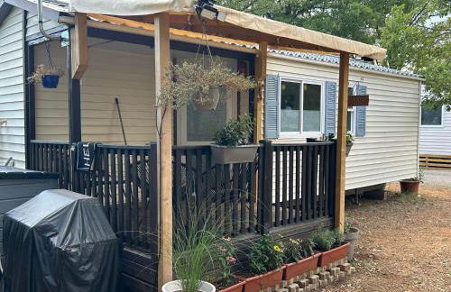 Salamandre - Foto 28