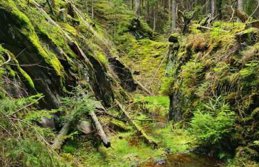 Bungalow Schwarzatalblick in Bad Blankenburg Ortsteil Böhlscheiben - Foto 55
