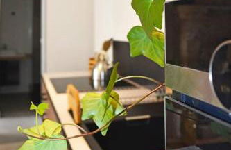 Gîte la Baronnière - Foto 30