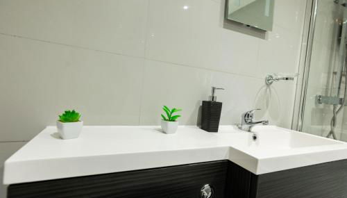 Luxury Modern Flat In Wolverhampton- Garden Views - Foto 5