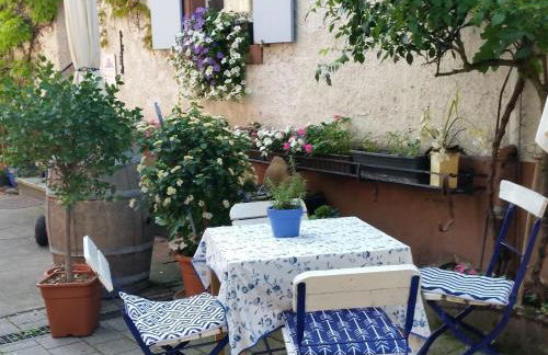 Weinberg-ferienwohnung, Oberrotweil - Foto 23