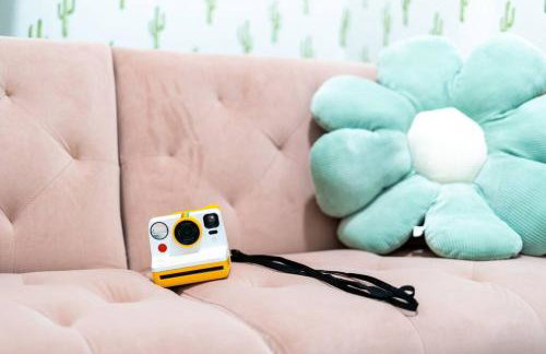 Cacti - Cactyou - Cactus - Foto 37