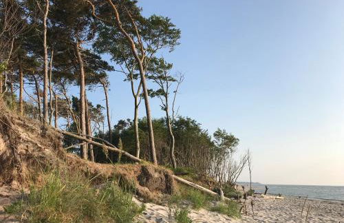 "Leuchtturmhaus" by Ferienhaus Strandgut - Foto 25