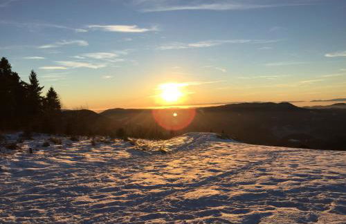 Schwarzwald Ferienwohnung - Foto 30
