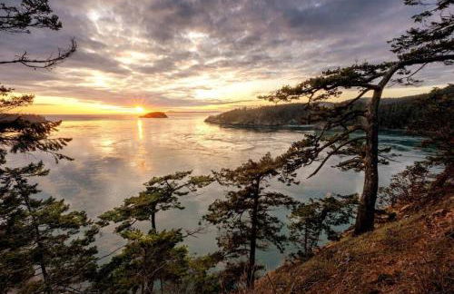 Oceanfront Family Retreat - Foto 39