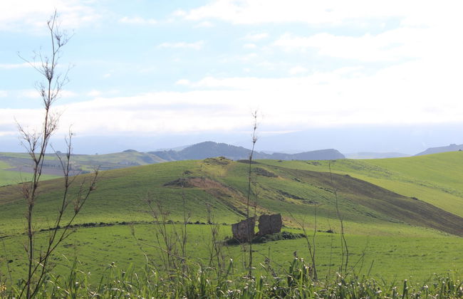 Ponte Calatrasi Agriturismo - Photo 52