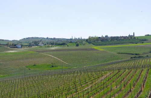 Vignot & Wine - Foto 39