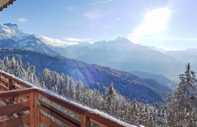 Le Bristol B36 - Foto 21