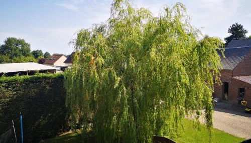 Gite a la Ferme - Baie de Somme - Foto 2