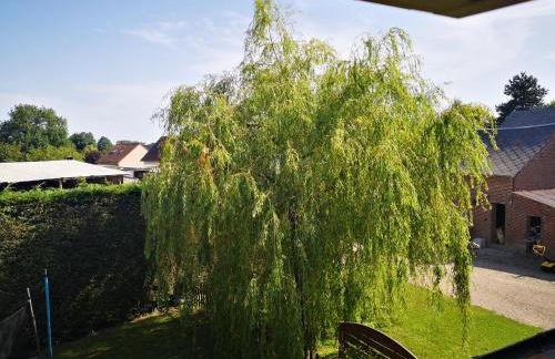 Gite a la Ferme - Baie de Somme - Foto 2