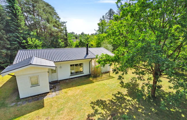 "Rietrikki" - 1.5km from the sea - Foto 8