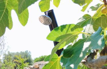 Marti's house in the olive grove - Foto 28