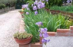 I Pini House - Photo 16