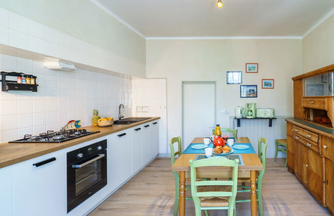 Ty Martelod - Foto 10