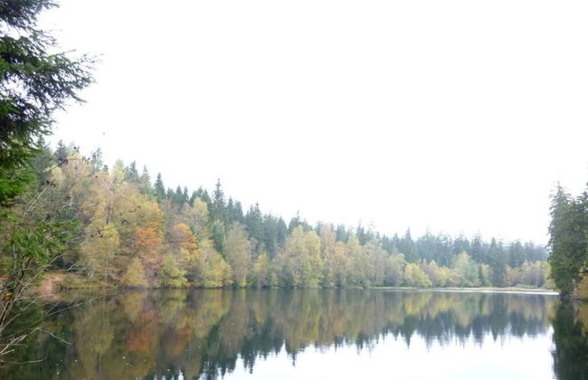 Holiday Apartment Weitblick at the spa Park - Foto 12