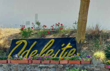 Blue Dragon River House - Foto 43