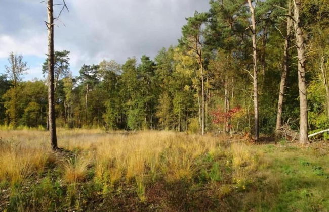 Apartment in Gelderland Near Nature Trails - Photo 36