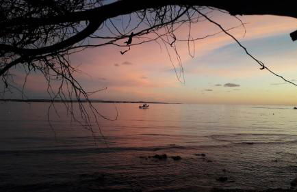 Brezza di Mare - Foto 45