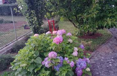 Apartman Bepo - Photo 52