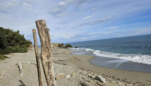 Location appartement 6 pers les marines de Bravone - Foto 5