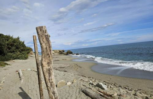 Location appartement 6 pers les marines de Bravone - Foto 5