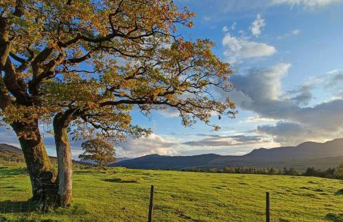 299 Willow Lodge - Foto 63