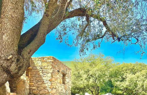 La Casa D'Ange Bergerie 5 étoiles de Luxe Piscine chauffée - Foto 28
