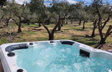 Agroturismo Viña Inés Toledo - Photo 8