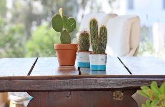 Pine Cottage, Syros Island - Foto 44