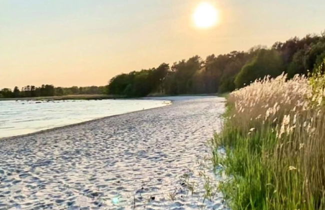 4 Star Holiday Home in Solvesborg - Photo 17