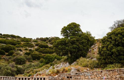 Feel Filoti - Foto 57