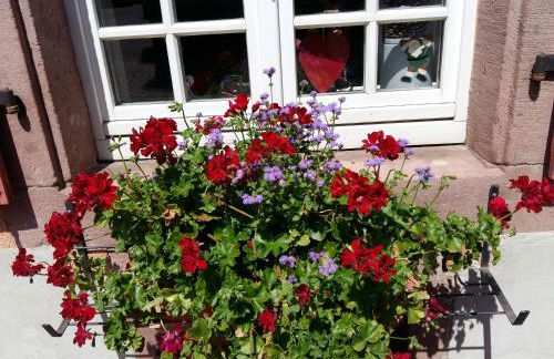 La Maison des Tanneurs - Foto 29