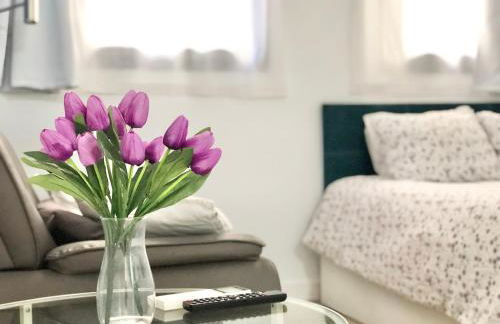 Centro Picacho - Foto 58