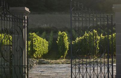 Castello Pomino - Foto 15