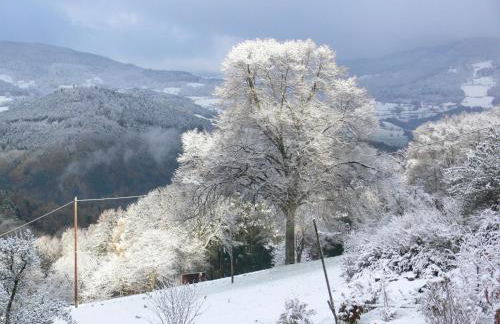 Gîte la Sapinière - Foto 10
