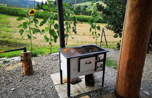 Domek "PRZYBYSZÓWKA" Bieszczady - Foto 7