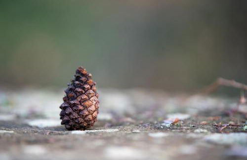 Apartamentos Garden Rock - Foto 50