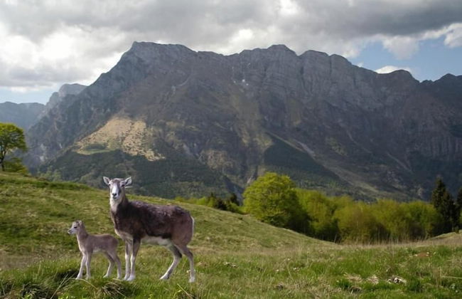 Affittacamere Nonna Leni - Foto 41