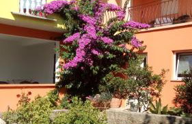 Apartments Mirjana - Foto 1