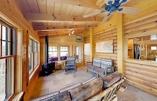 Willy Bear - Foto 12