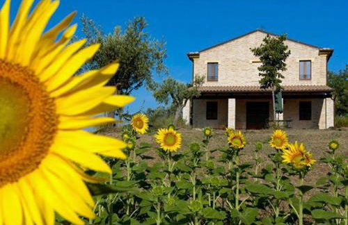 Agriturismo La Cicala - Foto 20