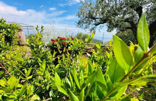 Villetta Starza - Foto 40