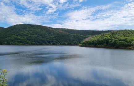 Ferienhaus Kirschblüte - Foto 39