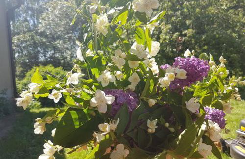 Dom na Warmii -Siedlisko Jabłonka - Foto 62