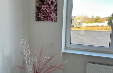 KOMFORT FerienWohnung NeuBau Merzig - Foto 79