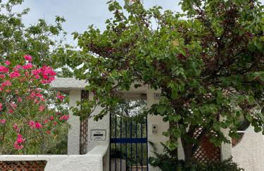 Il Giardino degli Ulivi - Foto 19