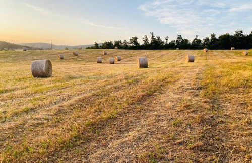 Podere La Selva - Foto 19