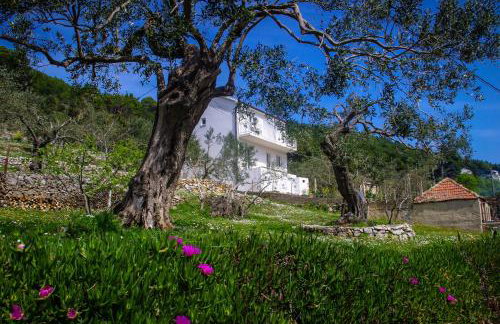 Apartments Frano Ropa - Foto 1