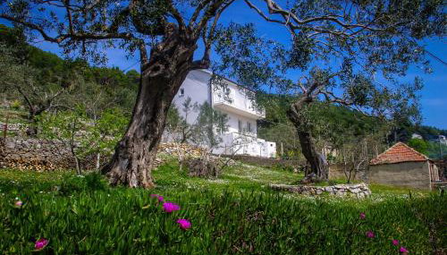 Apartments Frano Ropa - Foto 1, Garden, Garden view